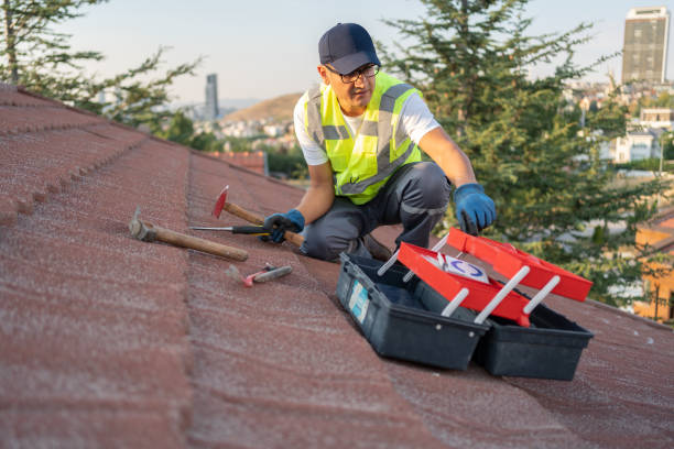 Best Insulated Siding Installation  in Terryville, CT